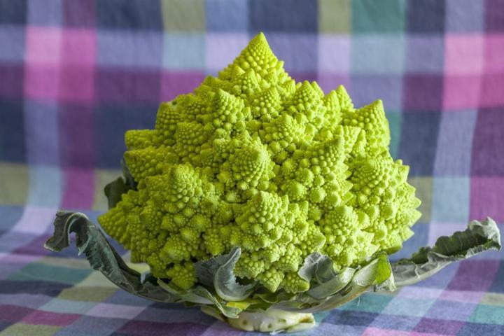 Kalafior a karmienie piersią