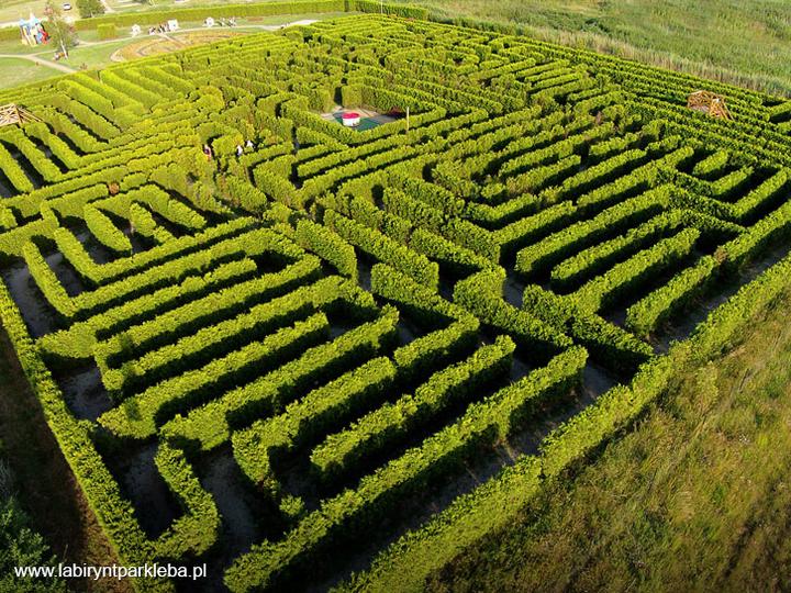 Podróżnicy i odkrywcy