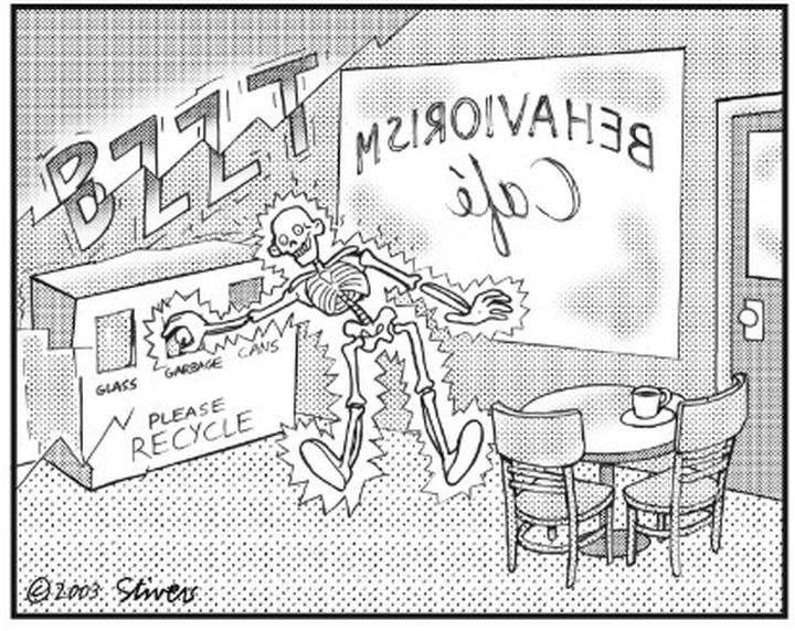 Psychologia społeczna i behawioryzm