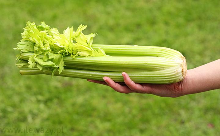 Bezpieczeństwo selera naciowego w ciąży