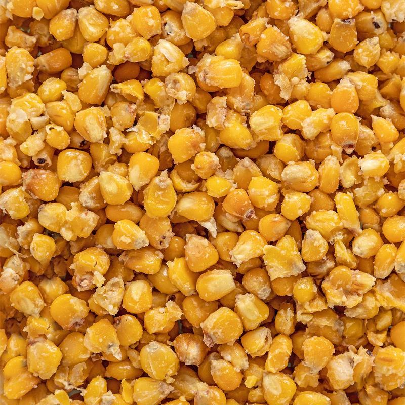 Alergie i nietolerancje pokarmowe