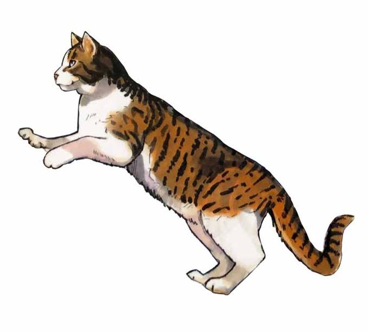 Rysowanie dla dzieci