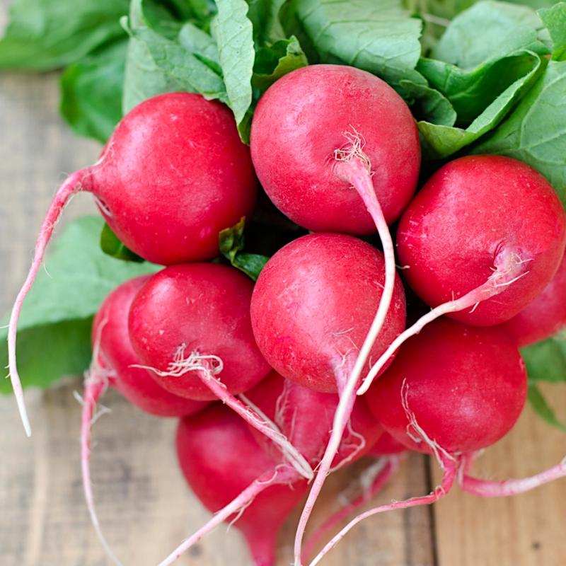 Rzodkiewka w ciąży