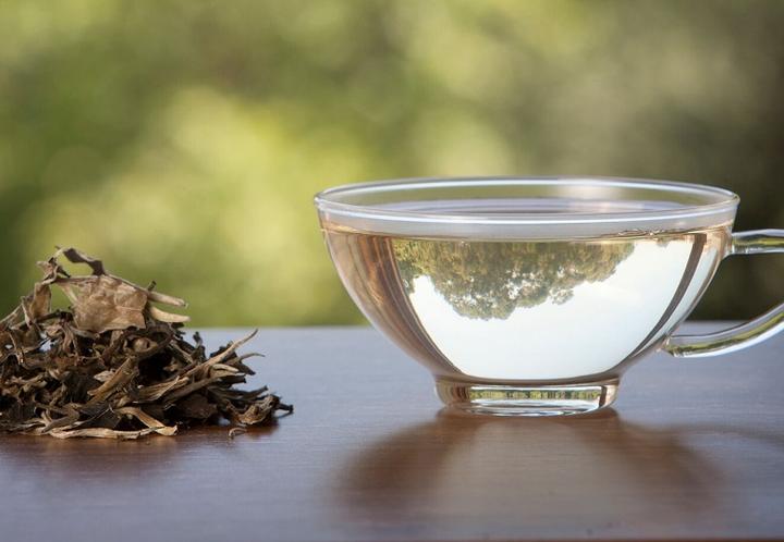 Bezpieczeństwo herbaty w ciąży