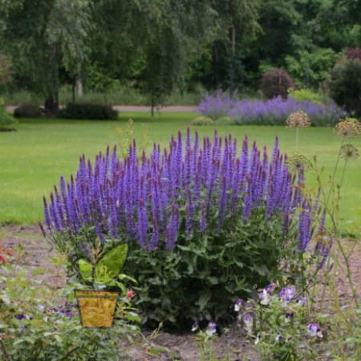Bezpieczne metody łagodzenia bólu gardła