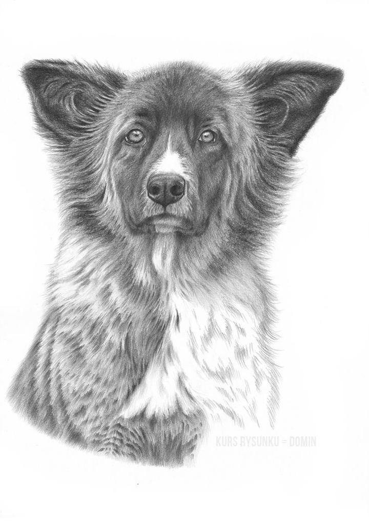 Rysowanie dla dzieci