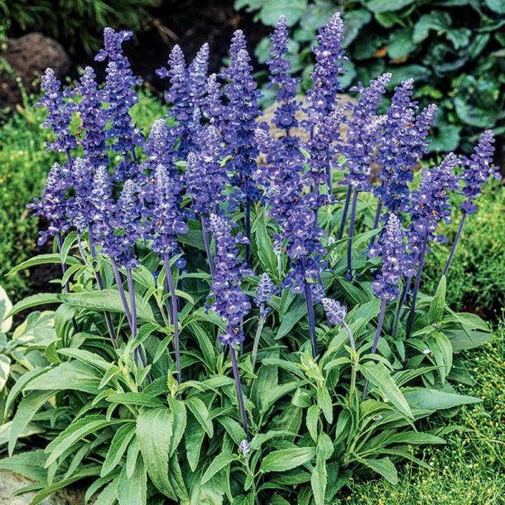 Zdrowie przyszłych mam