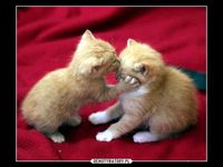 Jak pocieszyć dziewczynę