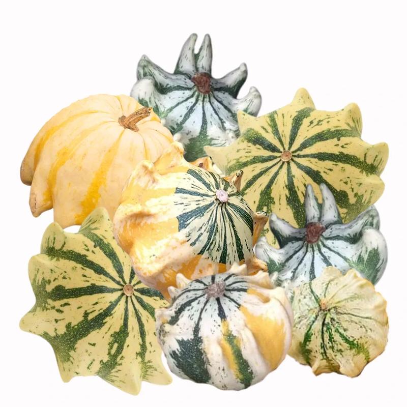 Odmiany dyni ozdobnych