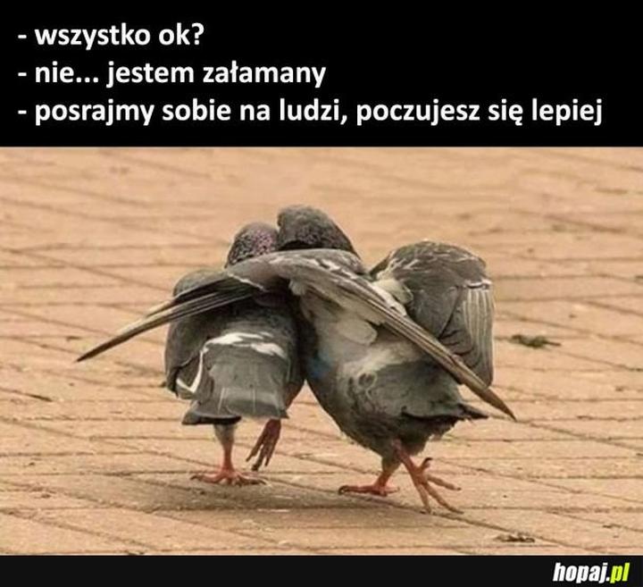 Słowa otuchy w trudnych chwilach