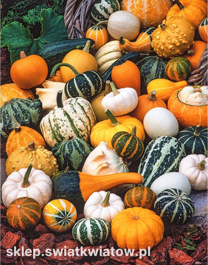 Wycinanie dyni krok po kroku