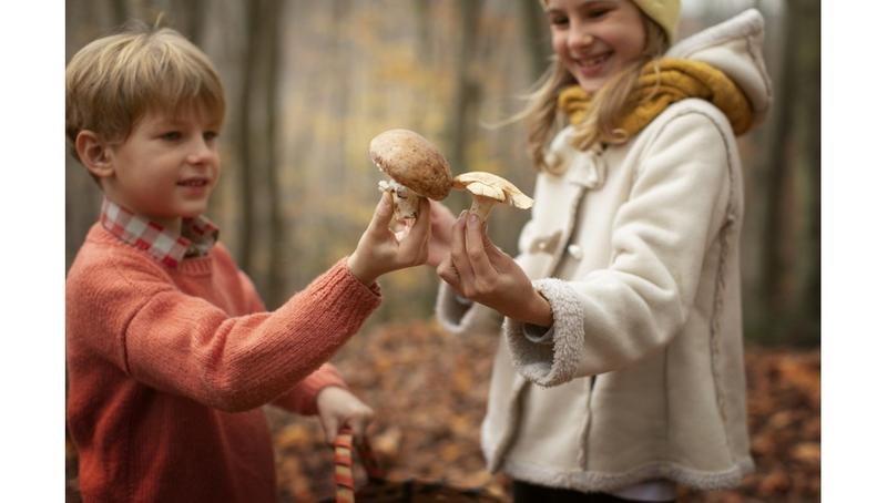Jak rozpoznać bezpieczne grzyby w ciąży