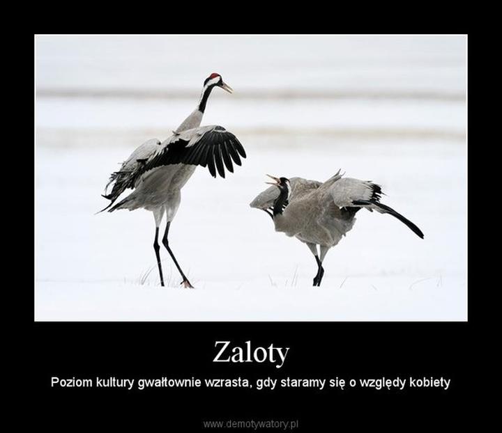 Romantyczne gesty dla chłopaka