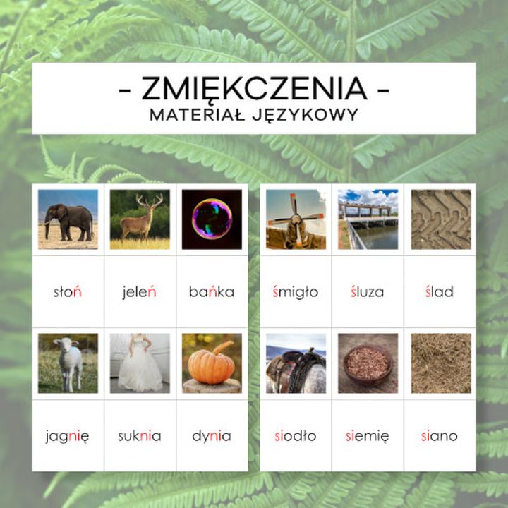 Typowe błędy w zmiękczeniach