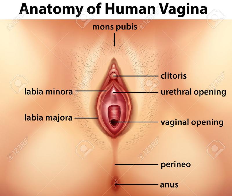 Wagina a tożsamość płciowa