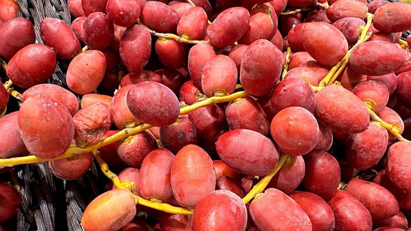 Bezpieczna ilość daktyli w ciąży