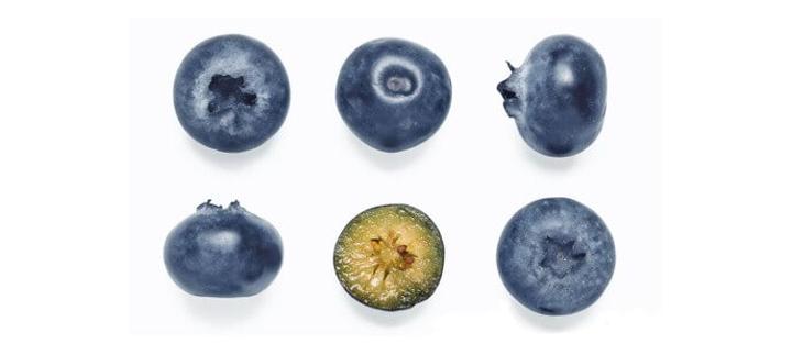 Borówki amerykańskie w ciąży