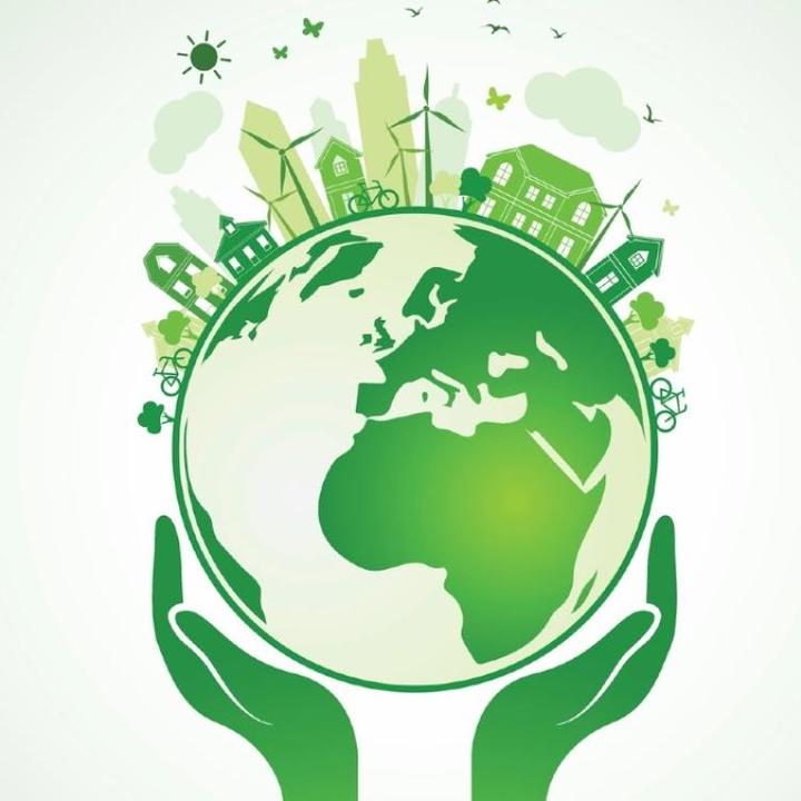 Ekologia w codziennym życiu