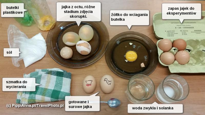 Kreatywne projekty jajeczne i sztuka