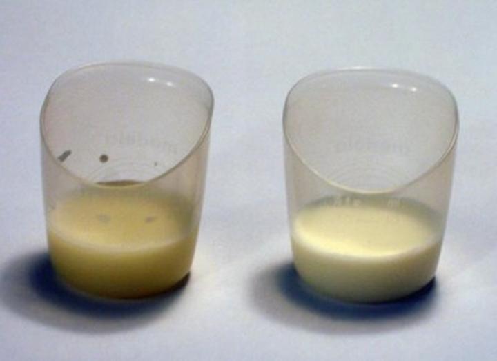 Pasteryzowane czy niepasteryzowane