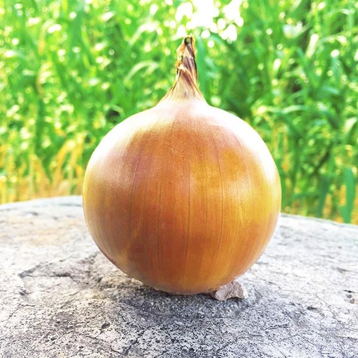 Przepisy z cebulą dla mam w ciąży i karmiących