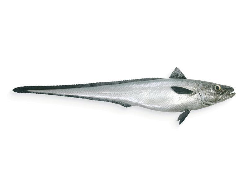 Przepisy z miruną dla ciężarnych