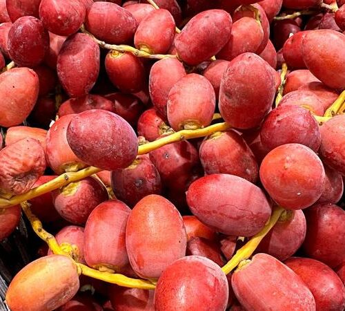 Daktyle w ciąży – praktyczne porady dotyczące ich spożycia