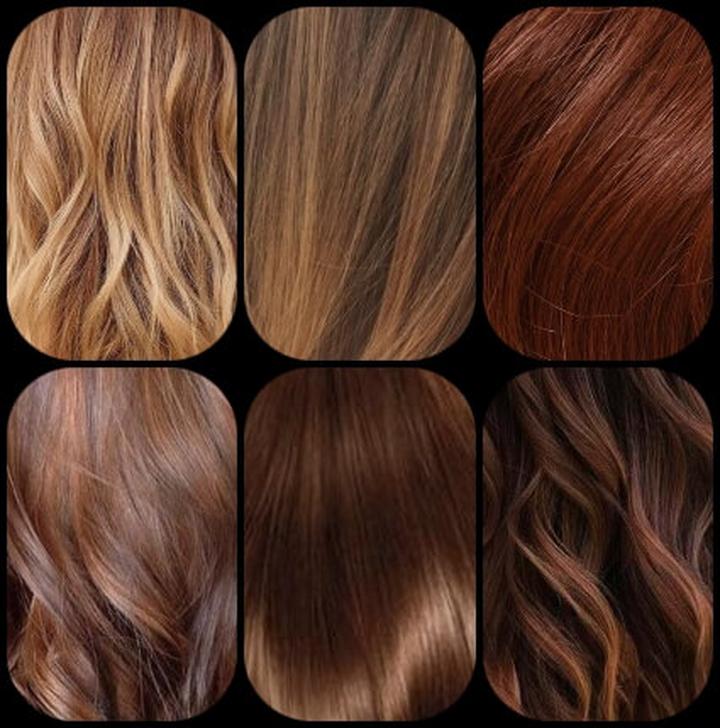 Ciepłe i zimne tonacje włosów