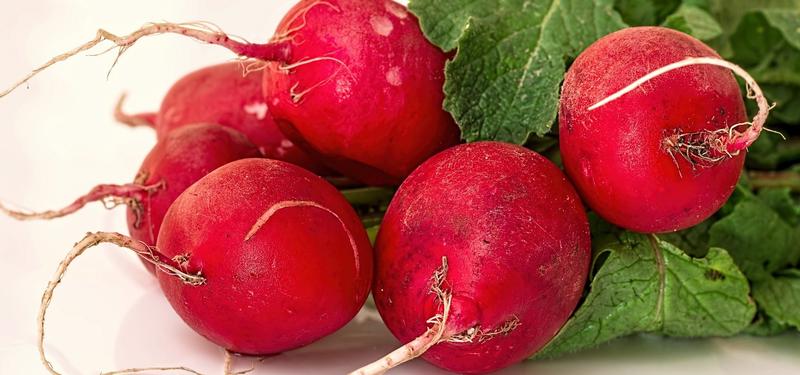 Jak wprowadzić rzodkiewkę do diety ciężarnej