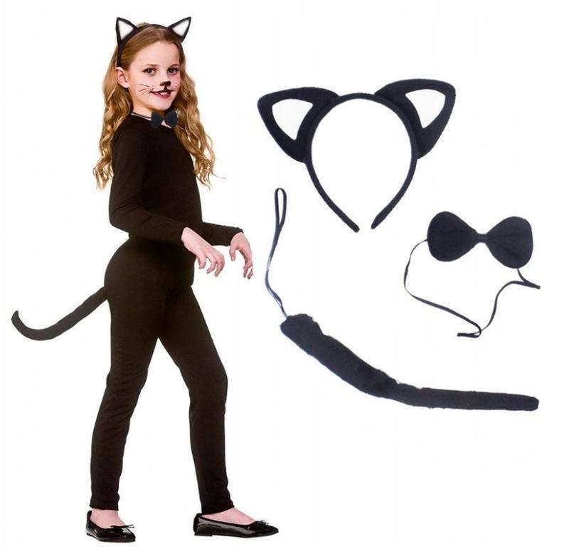 Jak zmierzyć kota i dobrać rozmiar stroju