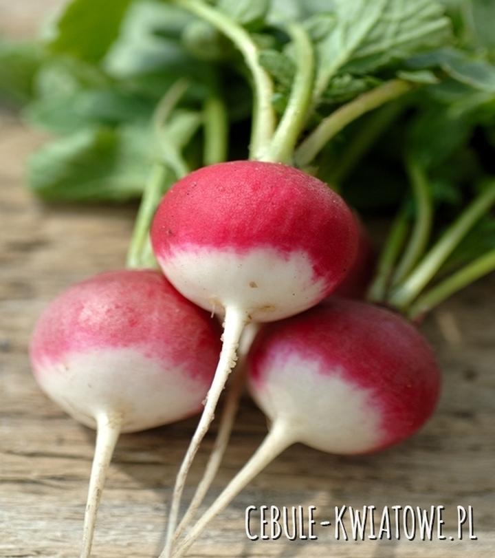 Rzodkiewka w ciąży