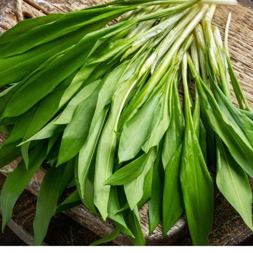 Czosnek a karmienie piersią: Jak bezpiecznie wprowadzić go do diety mamy?