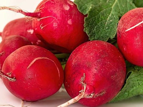 Czy rzodkiewka w ciąży to dobry wybór? Sprawdź, czy można ją jeść!